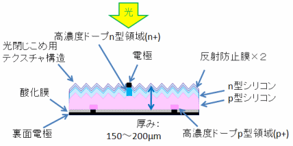 結晶系太陽電池の構造（提供：産業技術総合研究所）