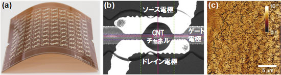 (a) プラスチックフィルム上に印刷した10×10 CNTトランジスタアレー。(b) CNTインク印刷後のCNTトランジスタ光学顕微鏡像。(c) CNTチャネルの走査プローブ顕微鏡像。