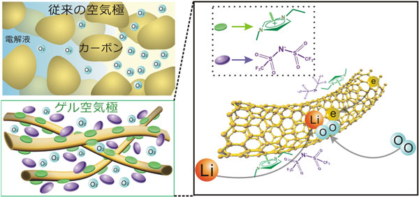 リチウム－空気電池に使われる従来の空気極と今回開発したゲル空気極の模式図（左） ゲル空気極内の電子伝導パス、イオン伝導パス、空気拡散パスの模式図（右） 右図の糸状のものはカーボンナノチューブ。右図上部はイオン液体のイオン（紫）と陽イオン（緑）。